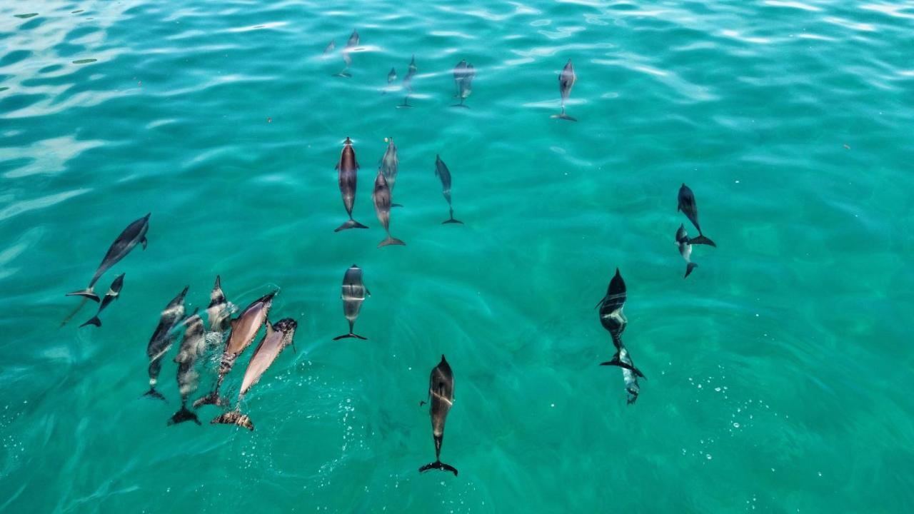 Superbe Bord De Mer, Acces Lagon Et Piscine Privee Paea Exterior photo